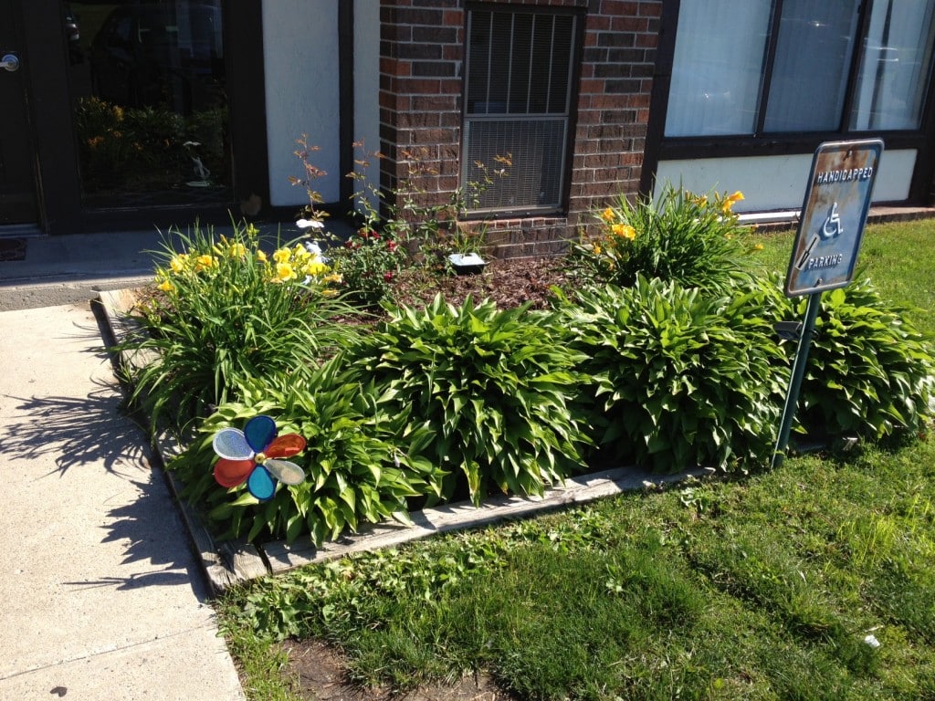 Shrub Bed