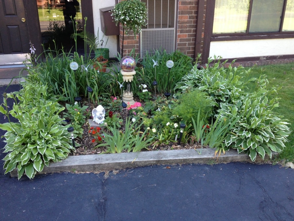 Shrub Bed