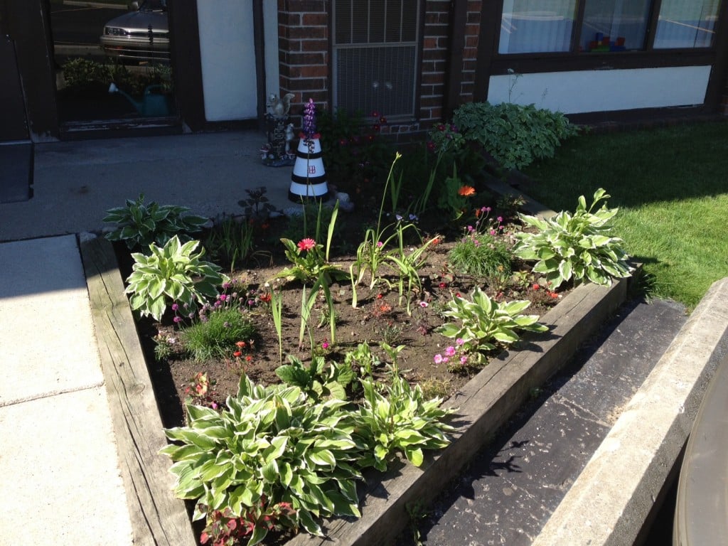 Shrub Bed